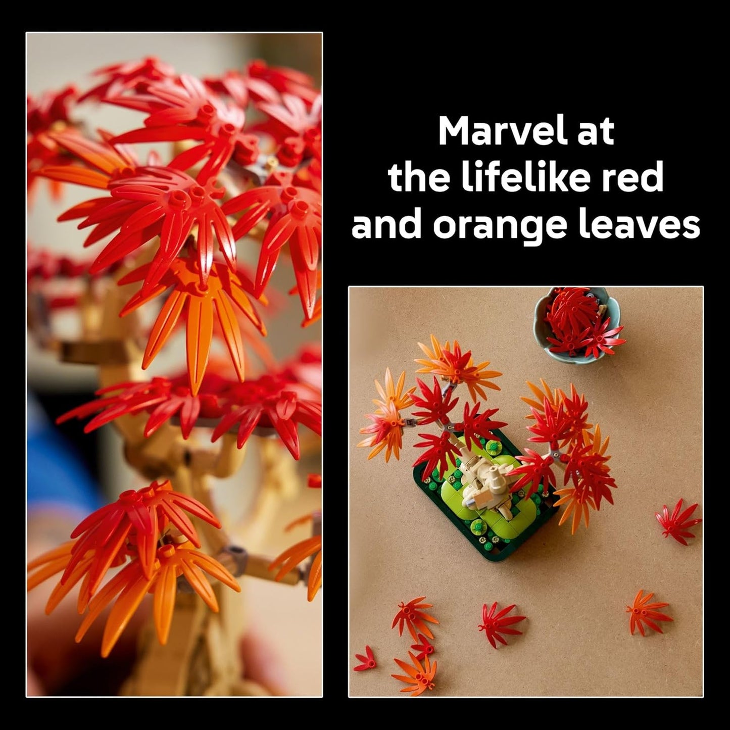 Botanicals Japanese Red Maple Bonsai Tree Building Kit for Adults 18+ - 10348