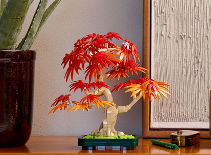Botanicals Japanese Red Maple Bonsai Tree Building Kit for Adults 18+ -  10348