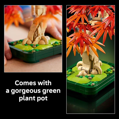 Botanicals Japanese Red Maple Bonsai Tree Building Kit for Adults 18+ -  10348