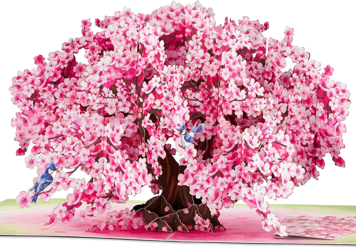 Bonsai Cherry Pop up Cards Blue Bird, 3D Greeting Cards, Gift for Birthday, Mothers Day, Anniversary, Valentines Day, Mom, Wife, Her, Girlfriend, 5X7 - Includes Envelope and Message Note