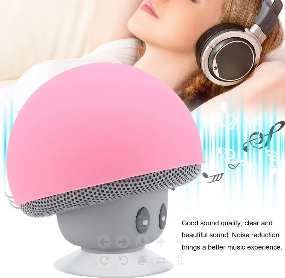 Wireless Bluetooth Speaker with Subwoofer – 30Ft Range, High Quality, Suction Base