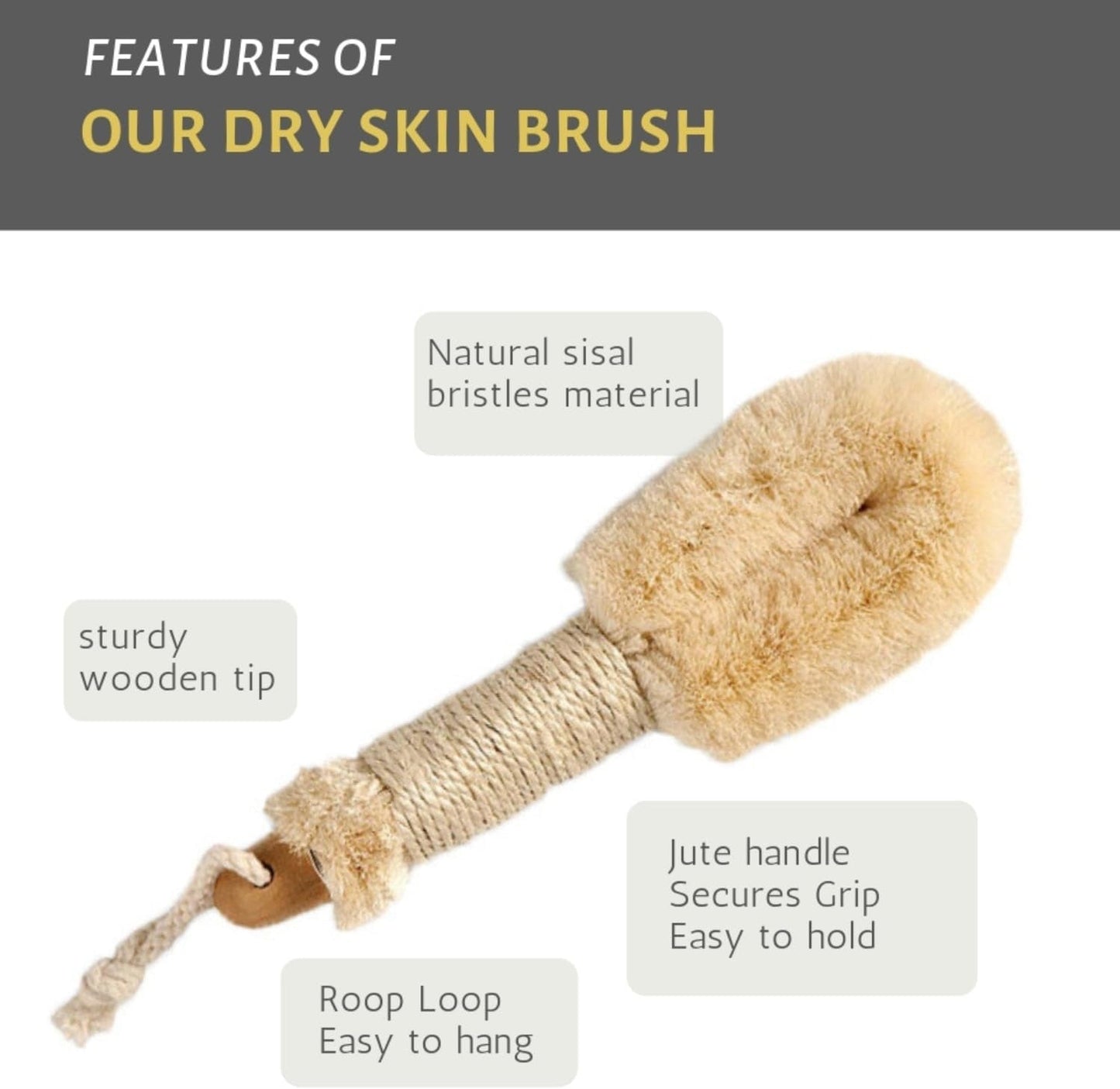 All-Natural Dry Skin Brush - Premium Quality - 9" Length