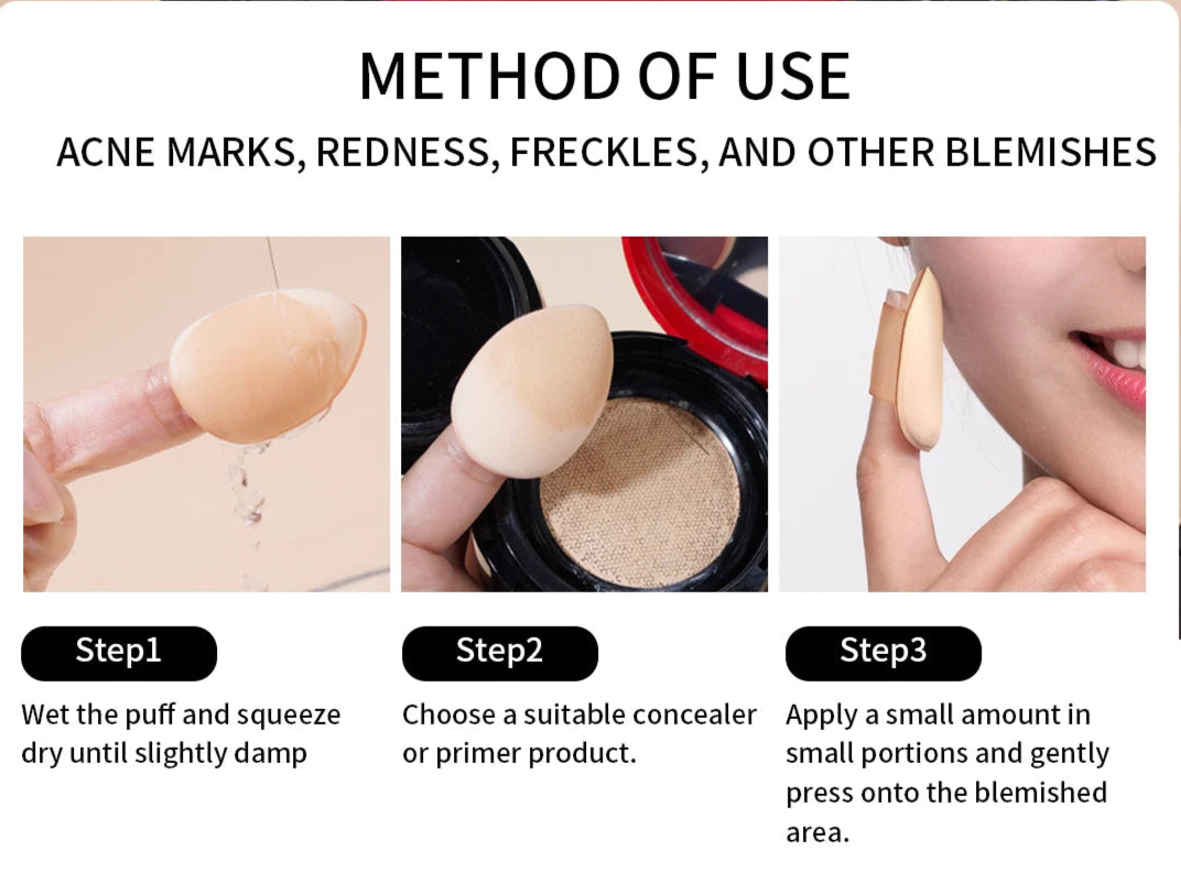 MAKEUP BRUSH KIT PREMIER COSMECEUTICAL GRADE