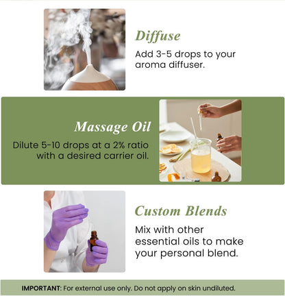 Handcrafted Basil Essential Oil - 100% Pure and Natural - Premium Quality for Diffusers and Aromatherapy - 0.33 Fl Oz - Set of 2