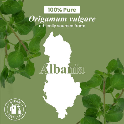 Oregano Essential Oil - 118 ml - 100% Pure and Natural - Premium Quality with Glass Dropper